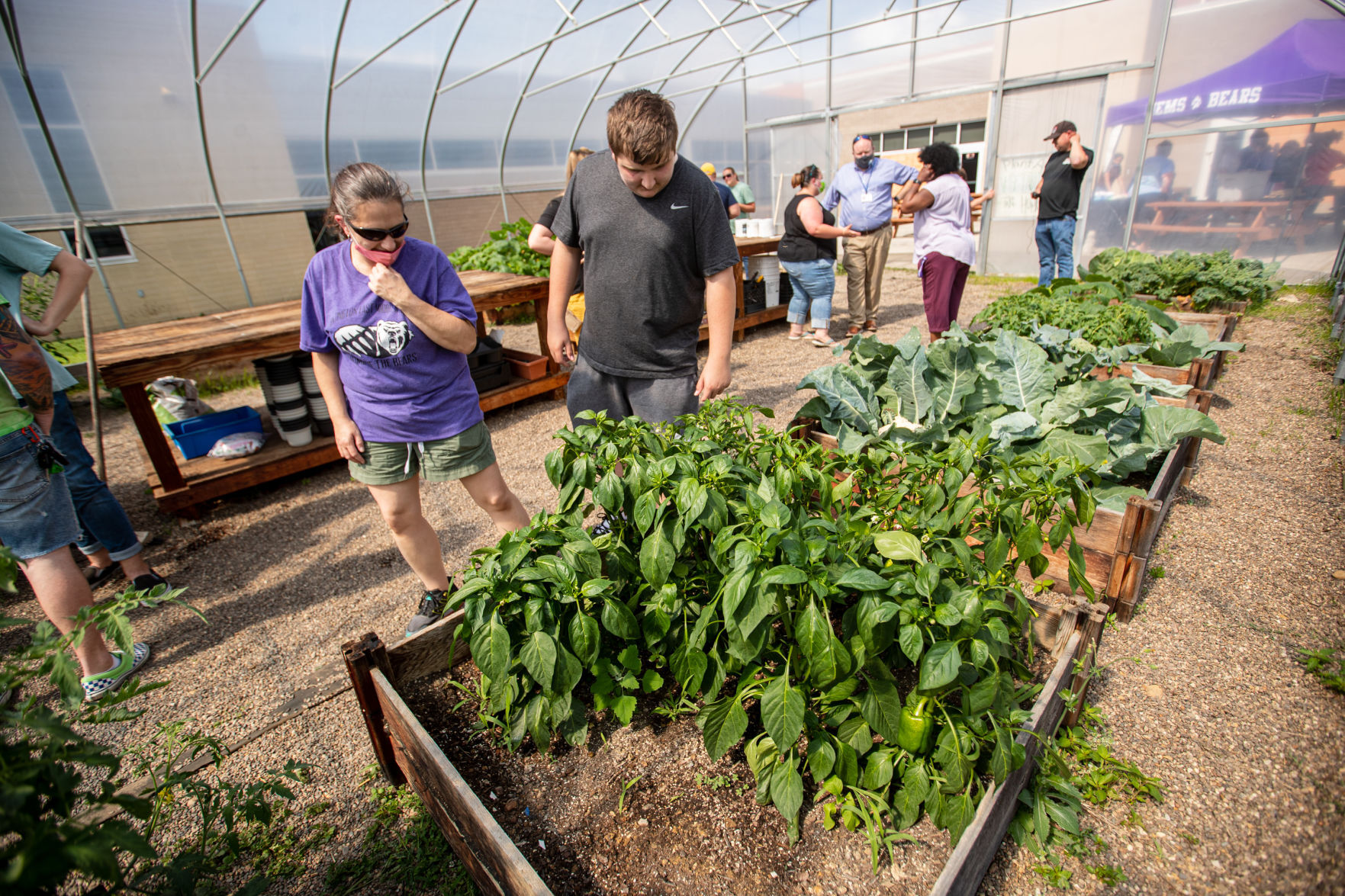 20210608 greenhouse 16.jpg